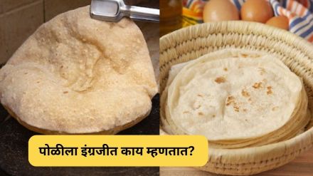 what is the english word for poli or chapati roti tortilla read in details