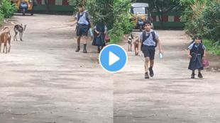 a boy protect his sister from dog video goes viral on instagram childhood memories