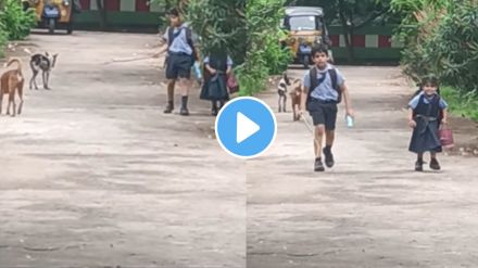 a boy protect his sister from dog video goes viral on instagram childhood memories