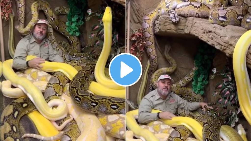 viral man was seen siting fearlessly among dozens of pythons people was surprised video viral