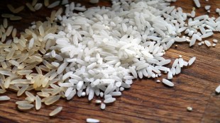 East Vidarbha grain smuggling