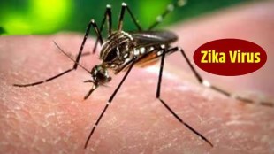 zika