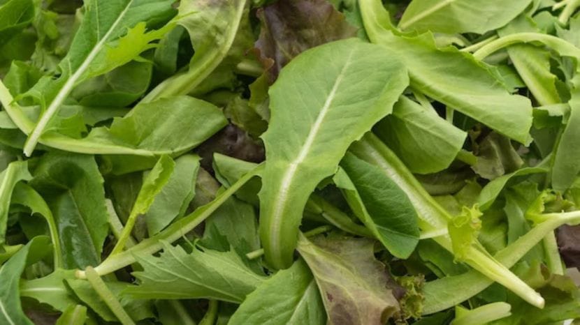 green spinach
