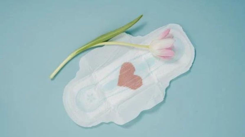 Sanitary Pads