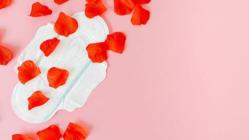 Sanitary Pads
