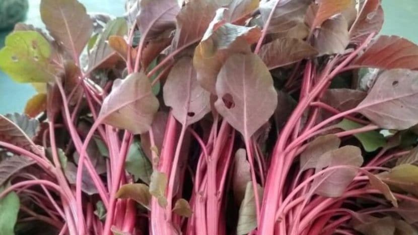 red spinach