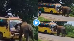 Elephant Attack On A Bus Video Viral