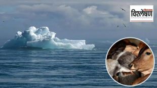 Global warming due to animal husbandry