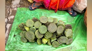 Healthier Pawan Dodella, gondiya