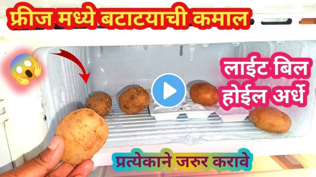 kitchen tips in marathi potato use in fridge save electrictity light bill kitchen jugaad video viral kitchen tips in marathi potato use in fridge save electrictity light bill kitchen jugaad video viral