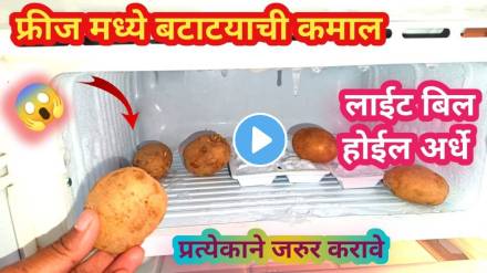kitchen tips in marathi potato use in fridge save electrictity light bill kitchen jugaad video viral kitchen tips in marathi potato use in fridge save electrictity light bill kitchen jugaad video viral