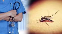 नागपुरातील डॉक्टर, गर्भवती, बाळंत महिलाही डेंग्यूच्या विळख्यात