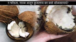 Five Easy Jugaad to Find Fresh Coconut Nariyal With Color In The Ganesh Utsav Save Money With Easy Kitchen Tips in Marathi