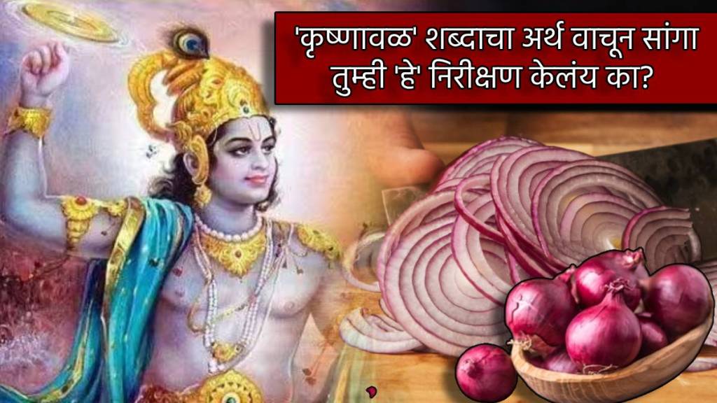 Dahi Handi Special Marathi Story Why Onion Is Known As Shri Krishna Govinda Did You Observe These When Cutting Kanda Dahi Handi Special Marathi Story Why Onion Is Known As Shri Krishna Govinda Did You Observe These When Cutting Kanda