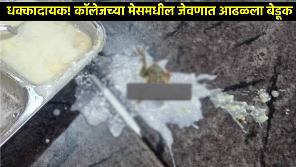 frog found in bhubaneswar college mess food