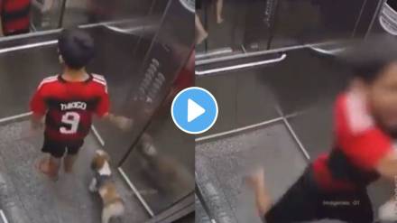 Watch: 11-Year-Old's Quick Thinking Saves Pet Dog In Elevator video viral on social media