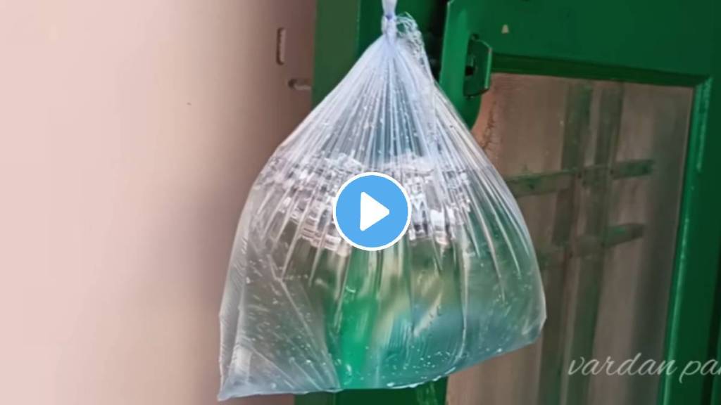 kitchen tips in marathi hang water fill plastic bag on door keep away flies lifestyle hacks kitchen jugaad video kitchen tips in marathi hang water fill plastic bag on door keep away flies lifestyle hacks kitchen jugaad video