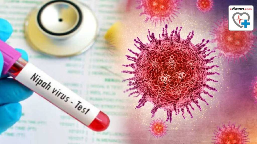 Nipah virus outbreak in kerala Nipah virus signs and symptoms How to prevent it
