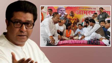 What Raj Thackeray Said?