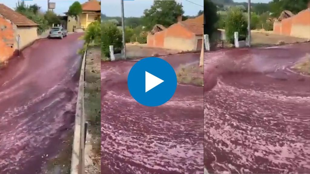 Red Wine flows through Portuguese town after distillery accident