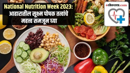 National Nutrition Week 2023 Understanding the importance of micronutrients in your diet