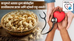 काजूमध्ये असतात शुन्य कोलेस्ट्रॉल! ह्रदयविकाराचा झटका आणि स्ट्रोकही टाळू शकतो, डॉक्टरांकडून जाणून घ्या