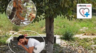 Why is sleeping under a tamarind tree considered scientifically forbidden?