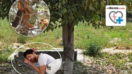 Why is sleeping under a tamarind tree considered scientifically forbidden?