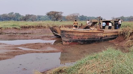 illegal sand extraction destroyed kandalvan at kopar khadi illegal sand extraction destroyed kandalvan at kopar khadi