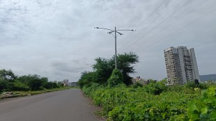 dronagiri road street lights, street lights on at dronagiri road, uran dronagiri road street lights on in daylight