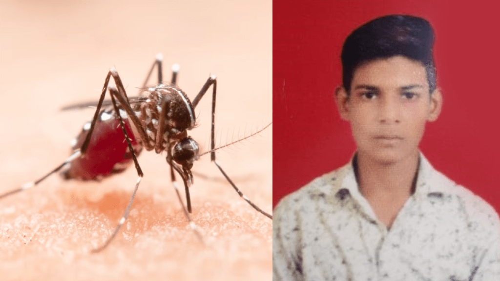 19-year-old youth died dengue three children diagnosed Jalgaon 19-year-old youth died dengue three children diagnosed Jalgaon