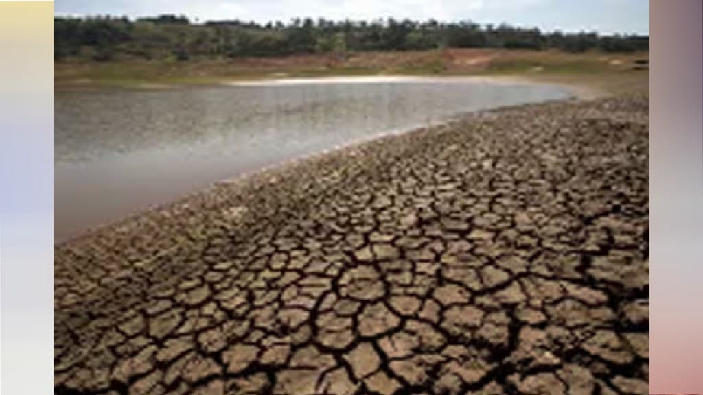drought , Drought like condition arose in 13 out of 36 district