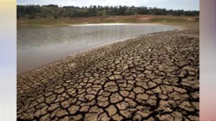 drought , Drought like condition arose in 13 out of 36 district