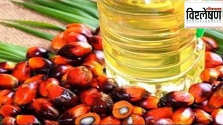 import of edible oil import of edible oil