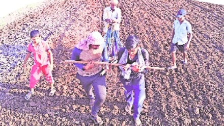 farmer