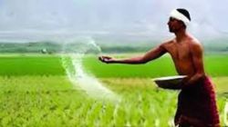 बोगस बियाणे! पाऊण कोटी रुपये किमतीच्या कृषी निविष्ठावर बंदी; भरारी पथकांची छापेमारी