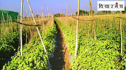 farming