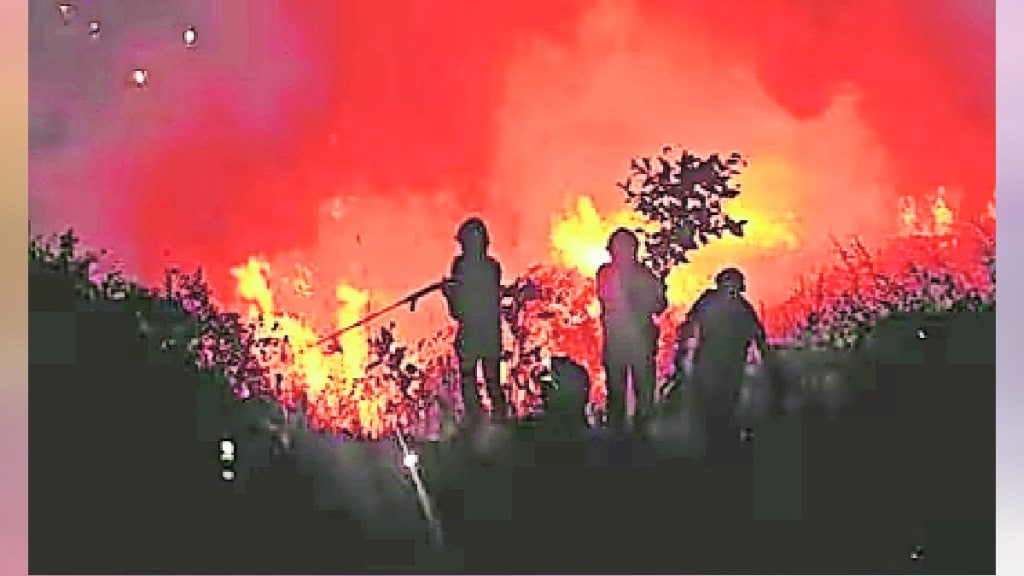 fire in forest 20
