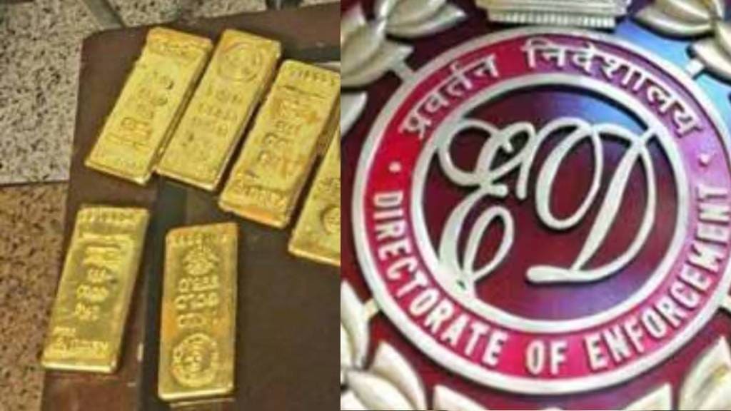 gold and ed