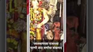 Actress Adah Sharma took darshan of Raja of Lalbagh