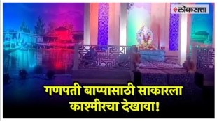 decoration of Kashmir in Ganapati