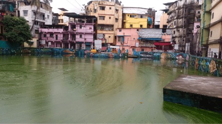 algae stench spread lake Juhugaon Villagers immerse bappa idol water algae stench spread lake Juhugaon Villagers immerse bappa idol water