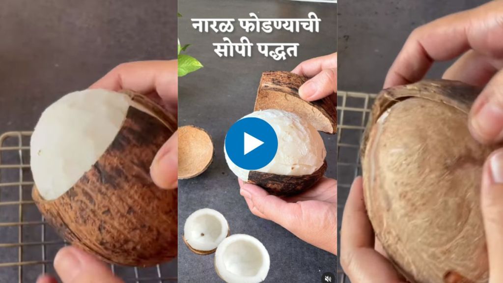World Coconut Day 2023 how to break coconut