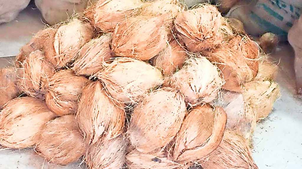 coconut sales in pune and mumbai