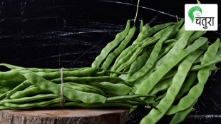 terrace garden cultivation field beans kitchen garden
