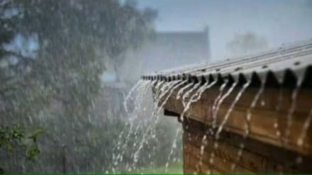 rain