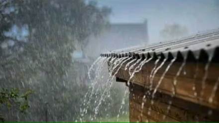 rain in navi mumbai nerul recorded 19 80 mm rainfal