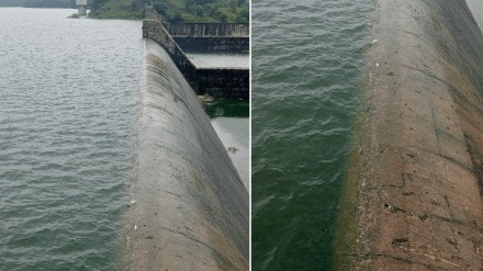 rain yavatmal farmers worried accumulation water fields rain yavatmal farmers worried accumulation water fields