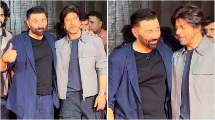 shahrukh-sunny