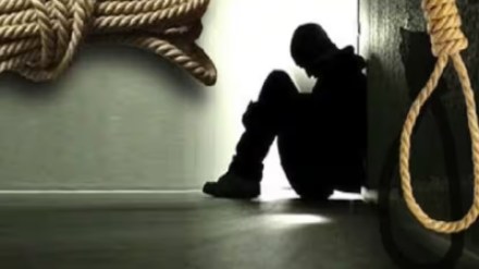 suicied suicied